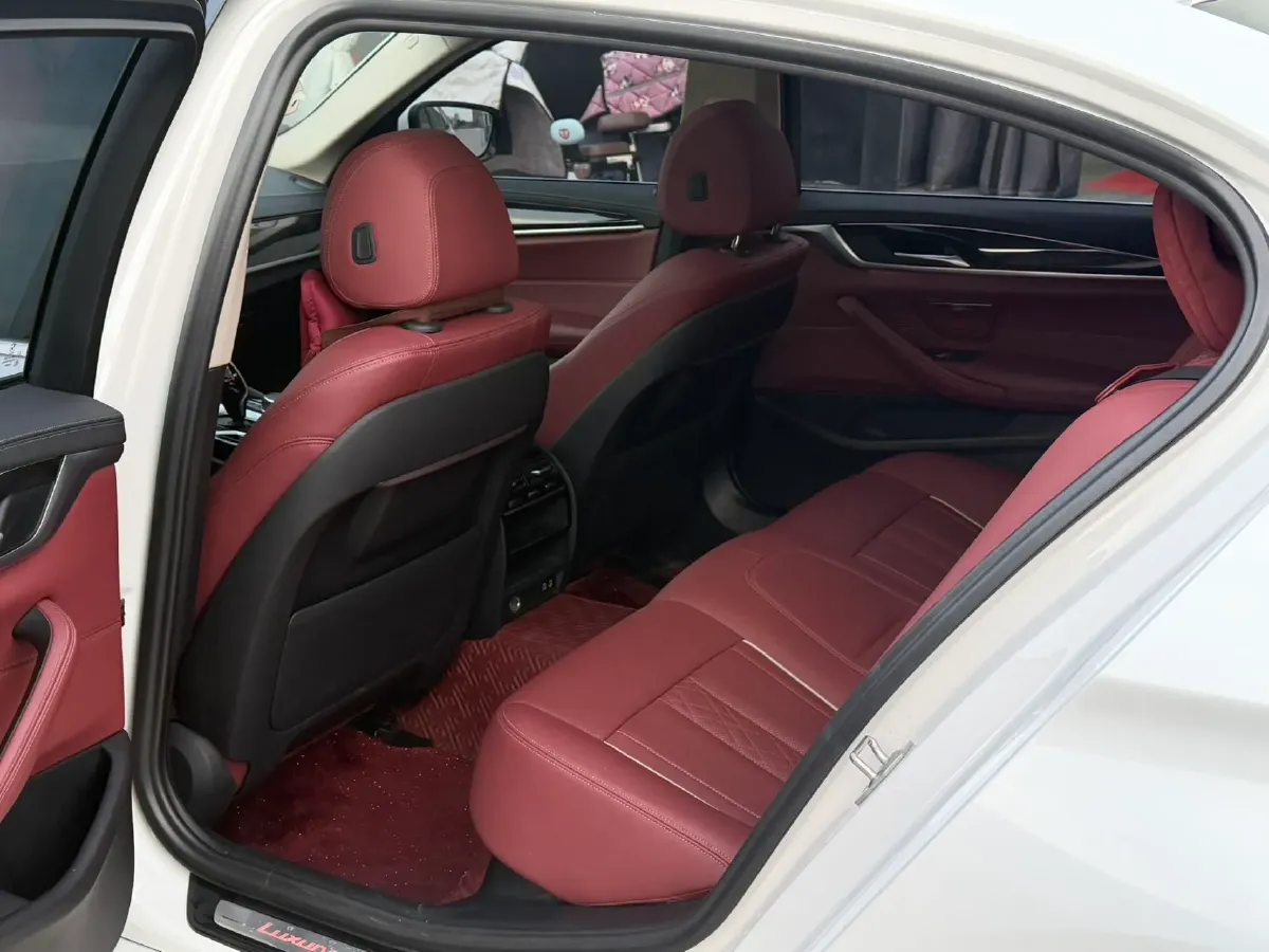 2021 BMW 5 Series 2.0T 184HP L4 8AT,autocango,china used car exporter,china ev exporter,chinese used car exporter,chinese used ev exporter