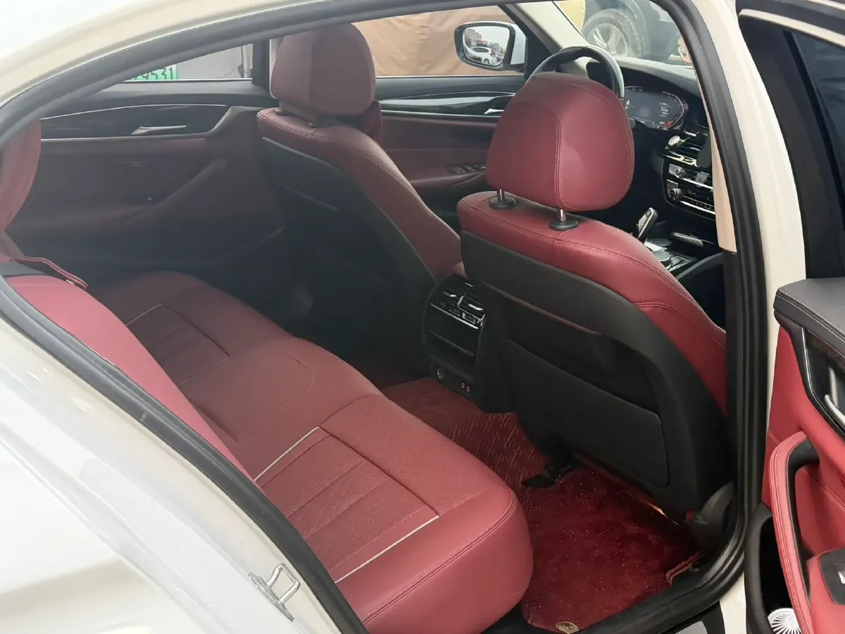 2021 BMW 5 Series 2.0T 184HP L4 8AT,autocango,china used car exporter,china ev exporter,chinese used car exporter,chinese used ev exporter