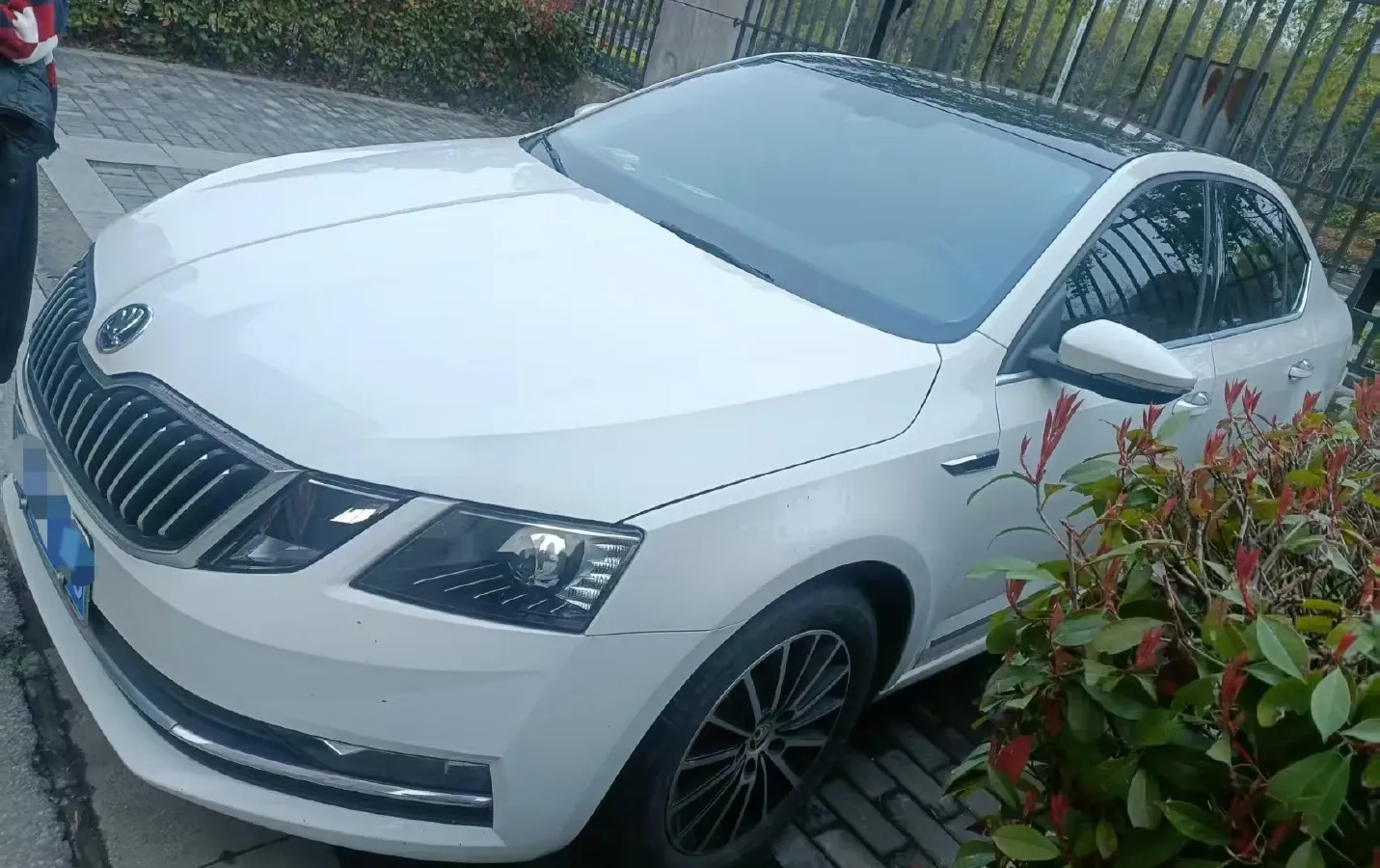 2019 Skoda Octavia 1.5L 116HP L4 6AT,autocango,china used car exporter,china ev exporter,chinese used car exporter,chinese used ev exporter