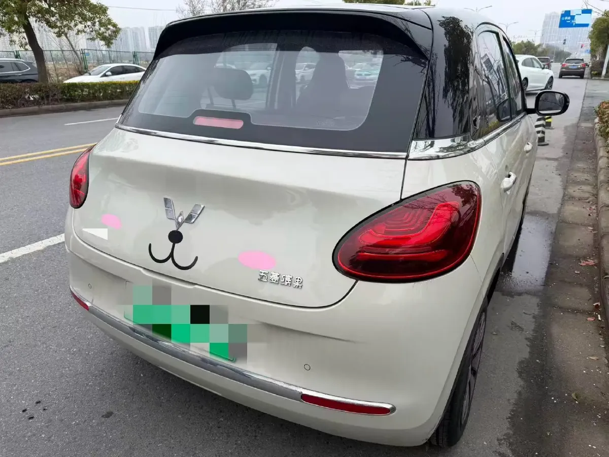 2023 WuLing BinGuo BEV 37.9KWH,autocango,china used car exporter,china ev exporter,chinese used car exporter,chinese used ev exporter