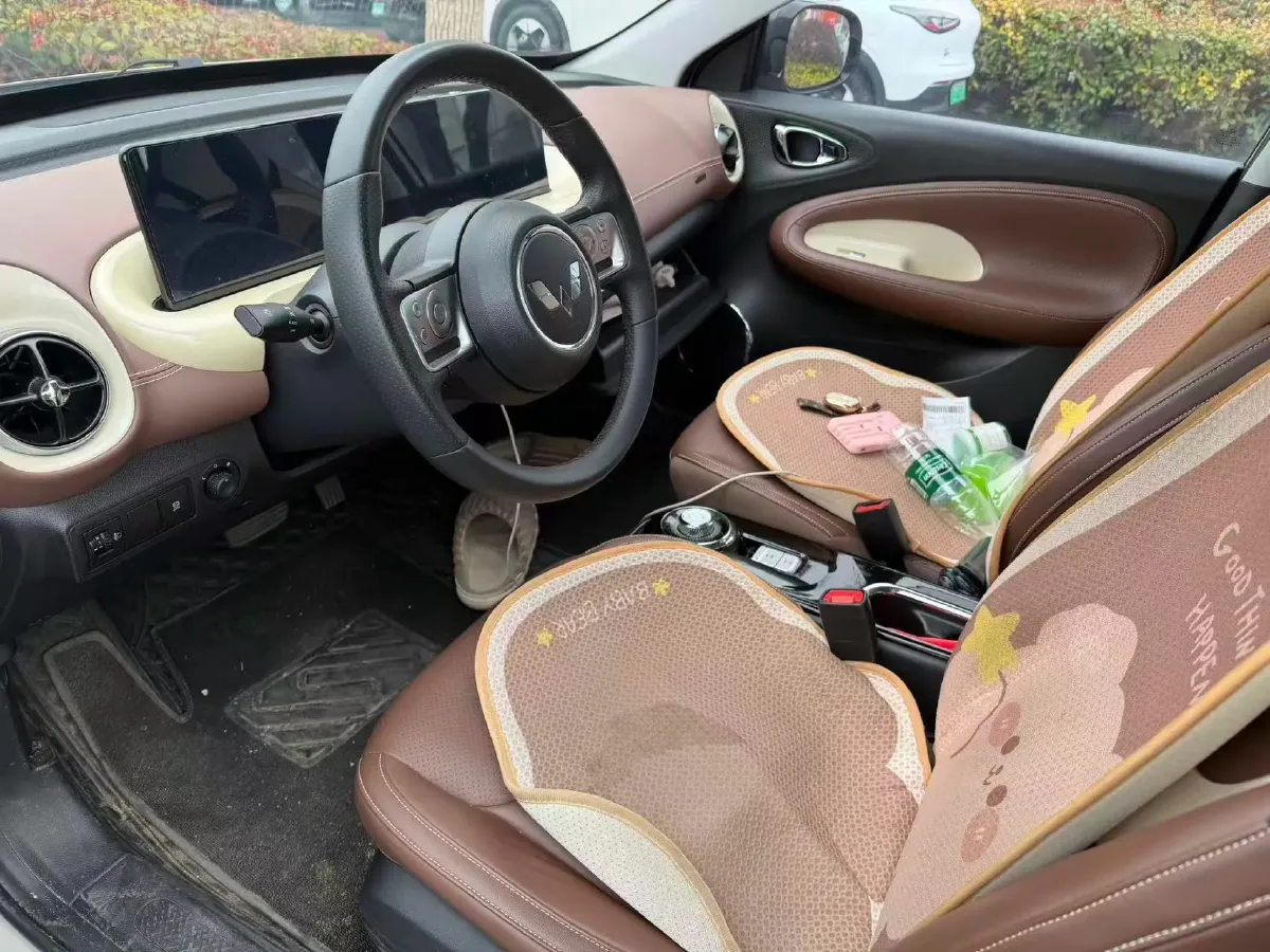 2023 WuLing BinGuo BEV 37.9KWH,autocango,china used car exporter,china ev exporter,chinese used car exporter,chinese used ev exporter