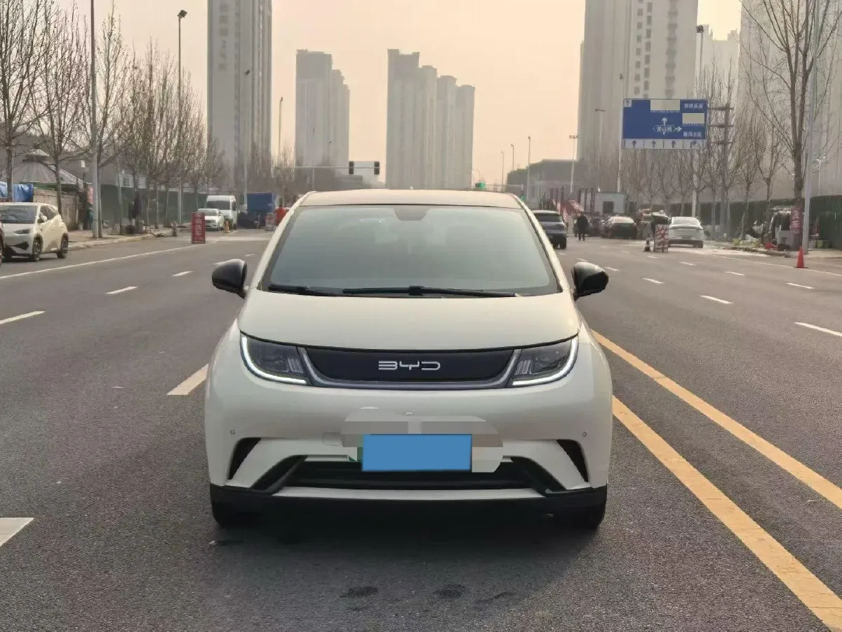 2023 BYD Dolphin BEV 44.928KWH,autocango,china used car exporter,china ev exporter,chinese used car exporter,chinese used ev exporter
