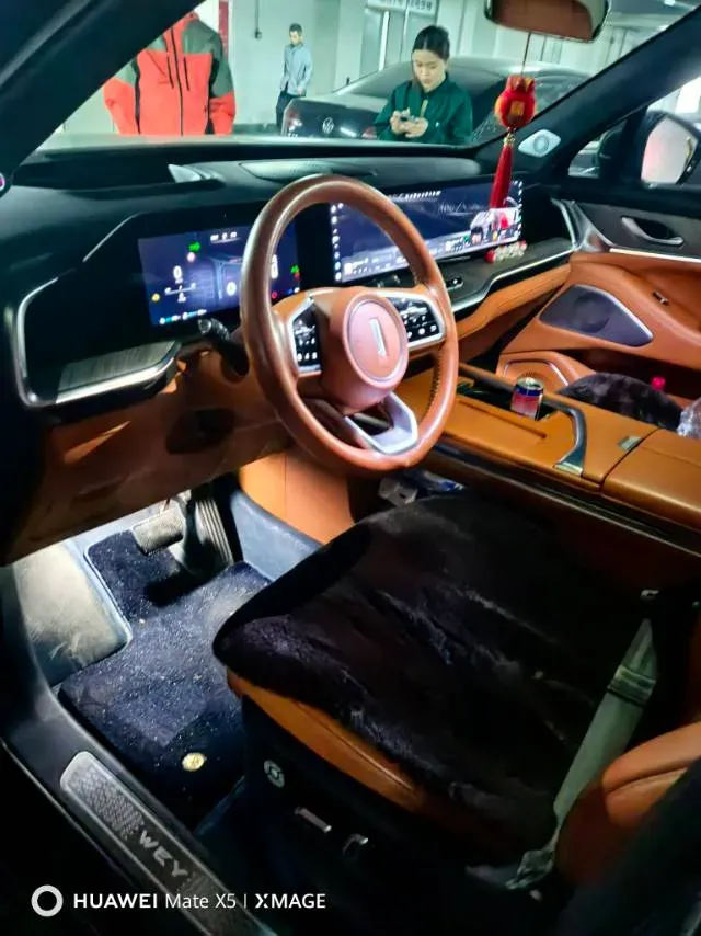 2023 WEY BlueMountain 1.5T 154HP L4 2DHT PHEV 44.5KWH,autocango,china used car exporter,china ev exporter,chinese used car exporter,chinese used ev exporter