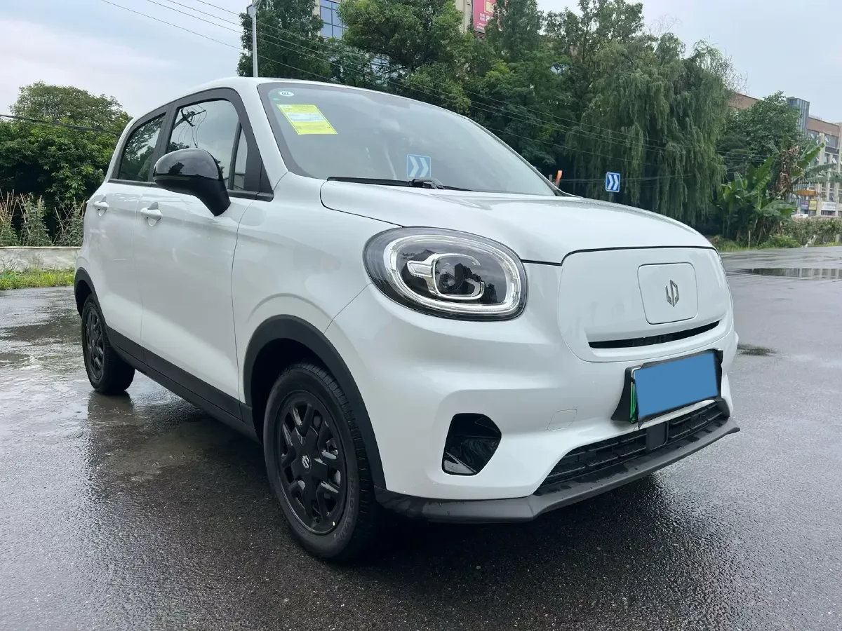 2020 Leapmotor T03 BEV 38KWH,autocango,china used car exporter,china ev exporter,chinese used car exporter,chinese used ev exporter