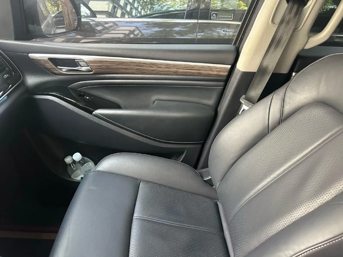 2021 GAC Trumpchi M8 2.0T 252HP L4 8AT,autocango,china used car exporter,china ev exporter,chinese used car exporter,chinese used ev exporter