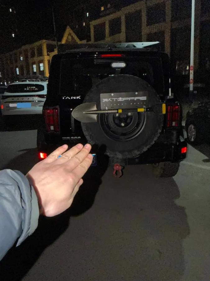 2023 Tank 300 2.0T 227HP L4 8AT,autocango,china used car exporter,china ev exporter,chinese used car exporter,chinese used ev exporter