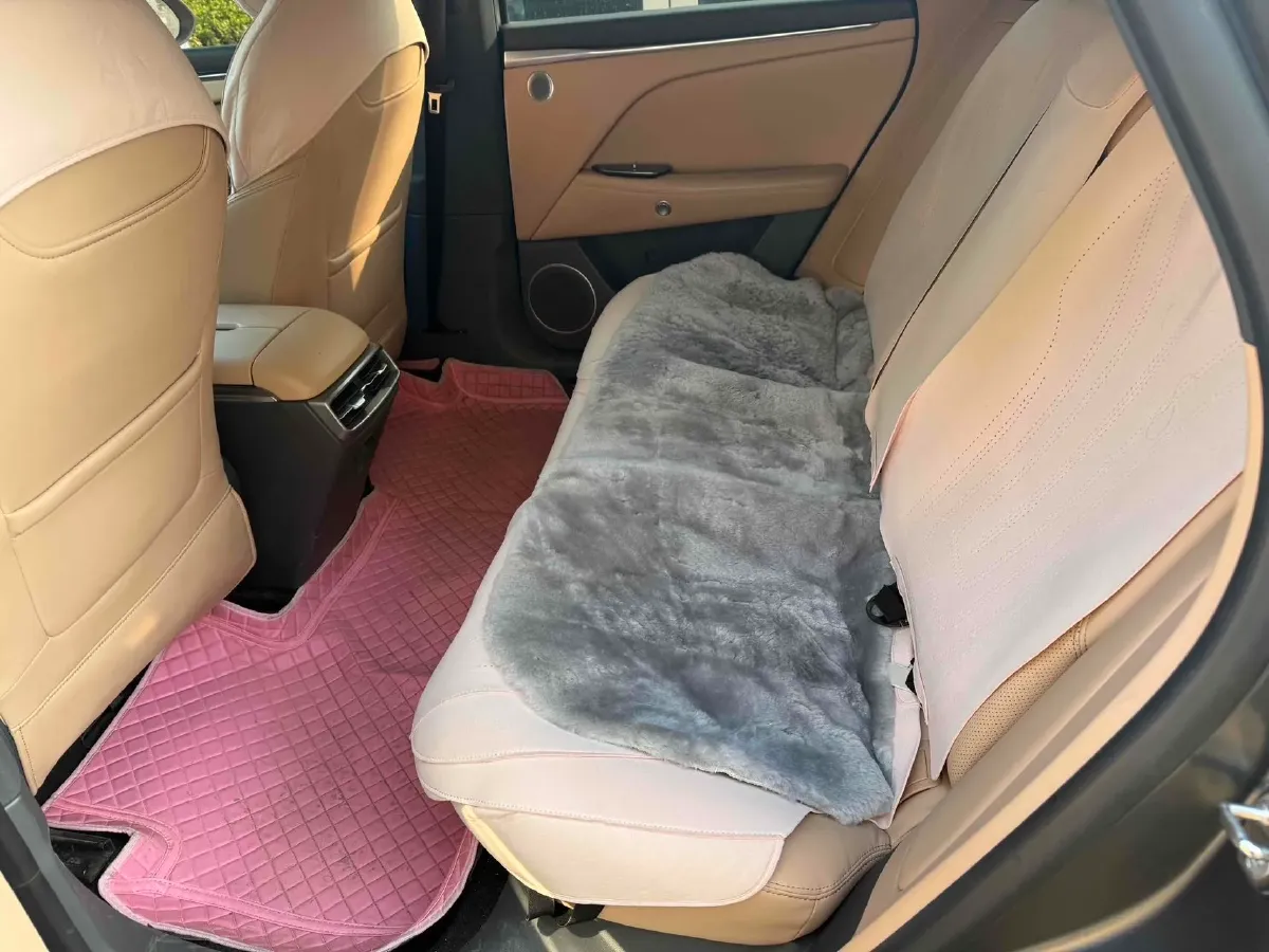 2024 JMC DaDao 2.3T 245HP L4 8AT,autocango,china used car exporter,china ev exporter,chinese used car exporter,chinese used ev exporter