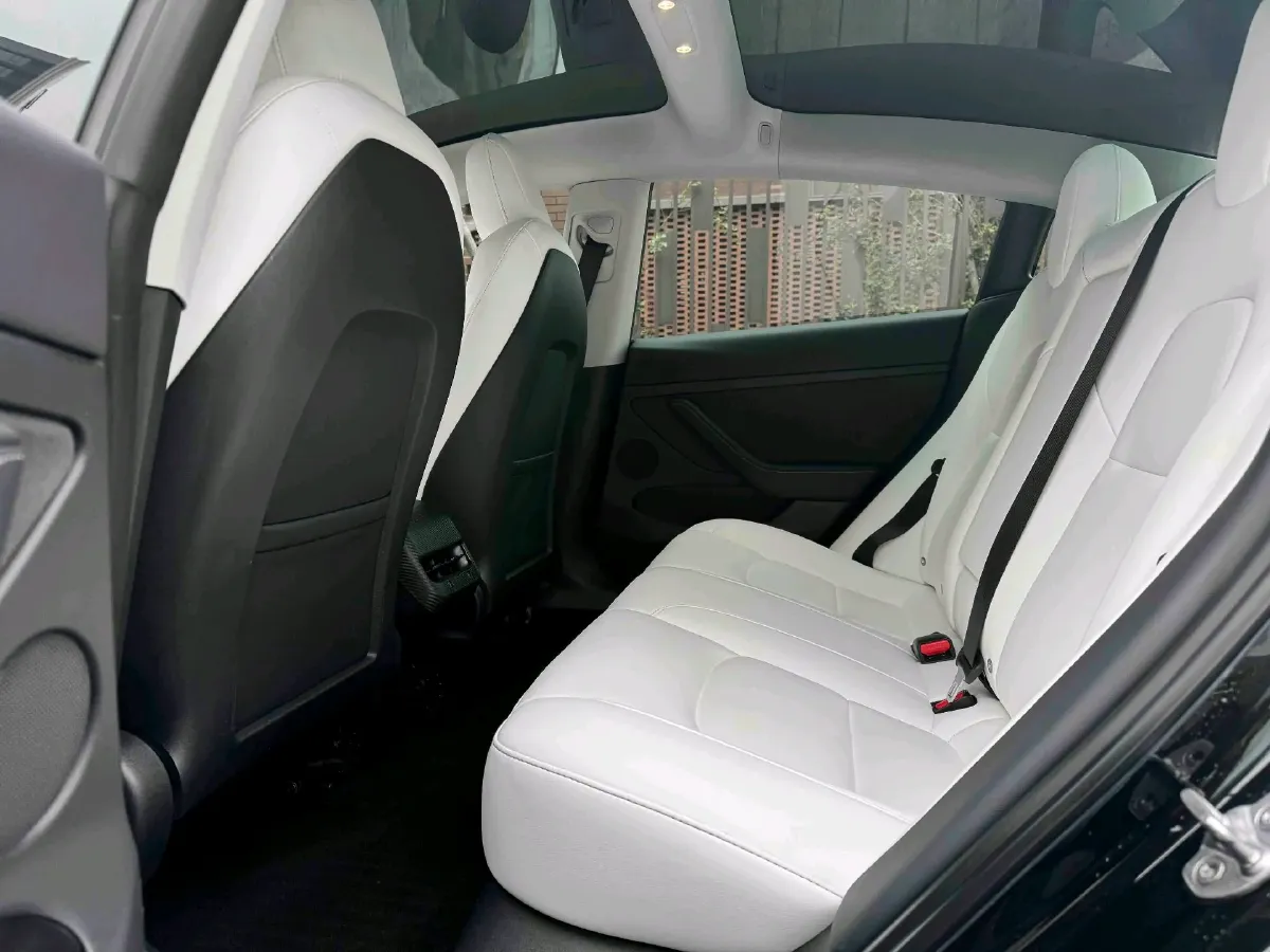 2022 Tesla Model 3 BEV 60KWH,autocango,china used car exporter,china ev exporter,chinese used car exporter,chinese used ev exporter