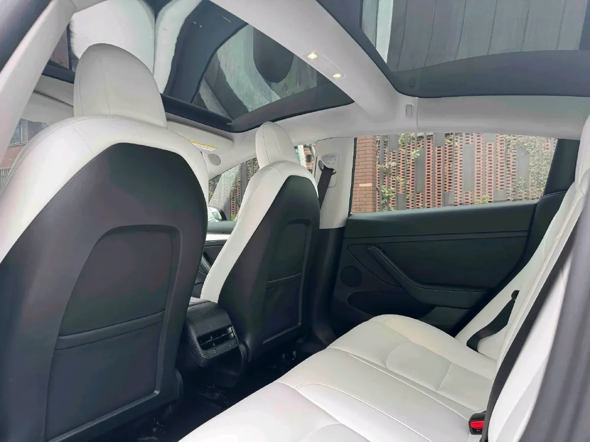 2022 Tesla Model 3 BEV 60KWH,autocango,china used car exporter,china ev exporter,chinese used car exporter,chinese used ev exporter