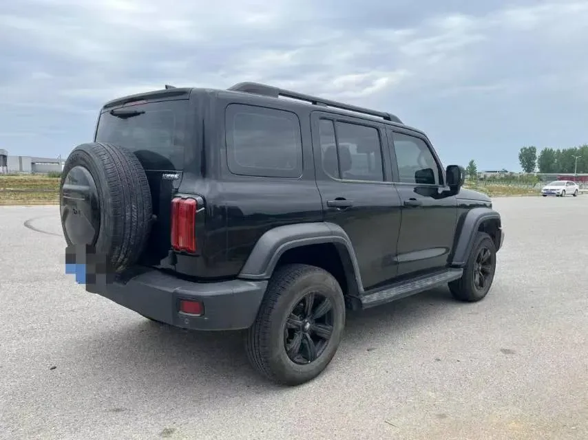 2021 Tank 300 2.0T 227HP L4 8AT,autocango,china used car exporter,china ev exporter,chinese used car exporter,chinese used ev exporter