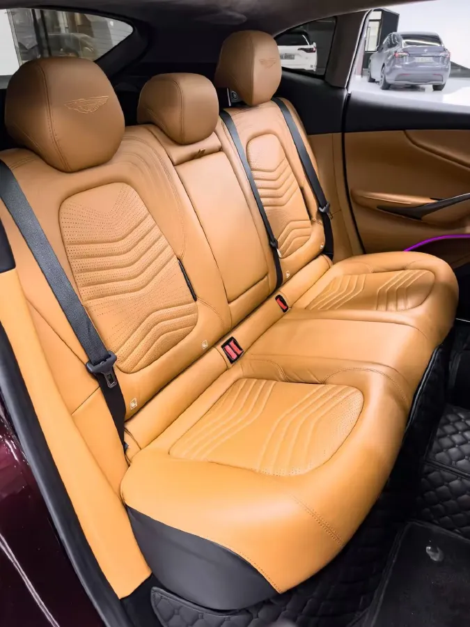 2021 Aston Martin DBX 4.0T 550HP V8 9AT,autocango,china used car exporter,china ev exporter,chinese used car exporter,chinese used ev exporter