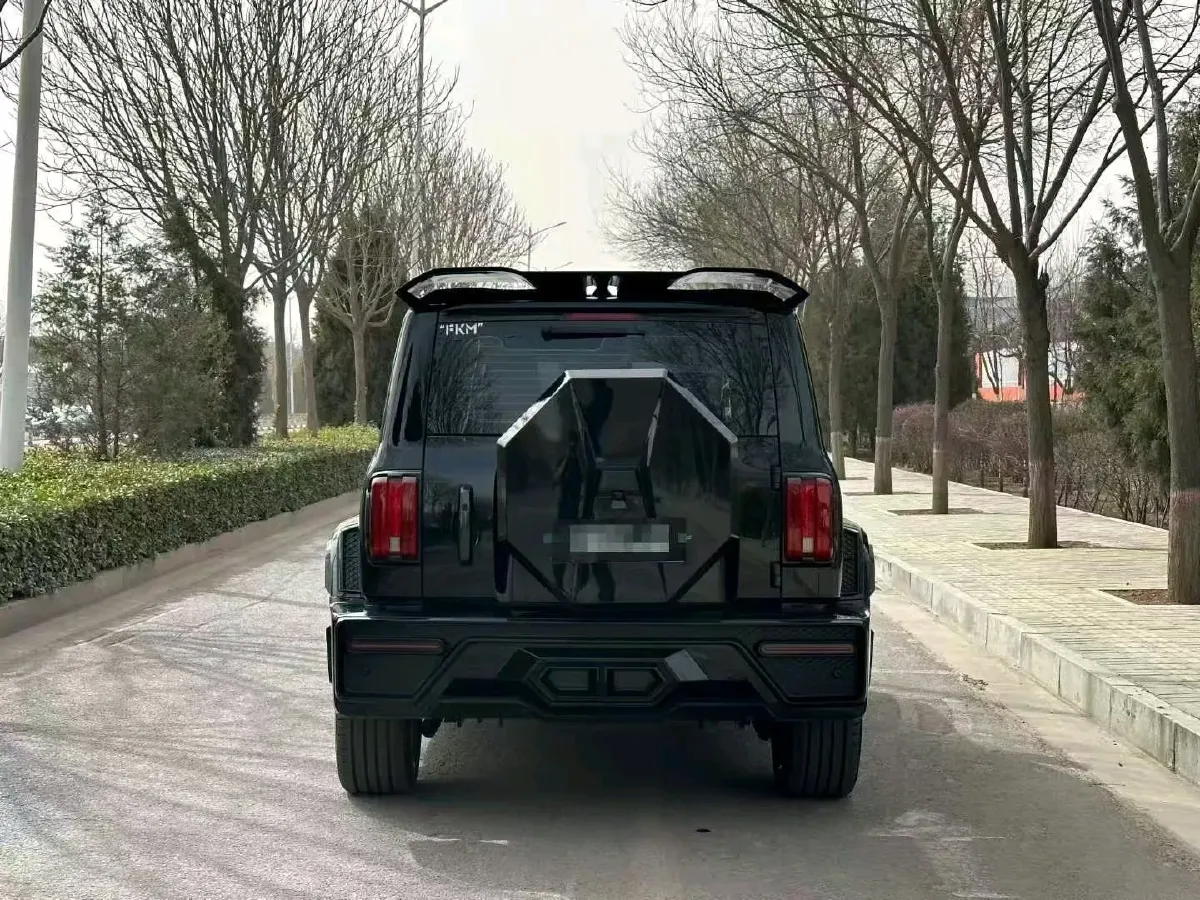 2024 Tank 300 2.0T 227HP L4 8AT,autocango,china used car exporter,china ev exporter,chinese used car exporter,chinese used ev exporter