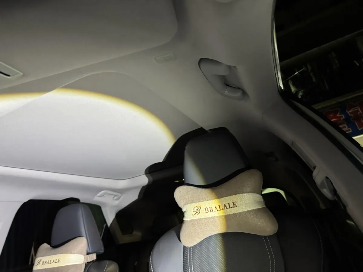 2020 Lexus RX 2.0T 231HP L4 6AT,autocango,china used car exporter,china ev exporter,chinese used car exporter,chinese used ev exporter