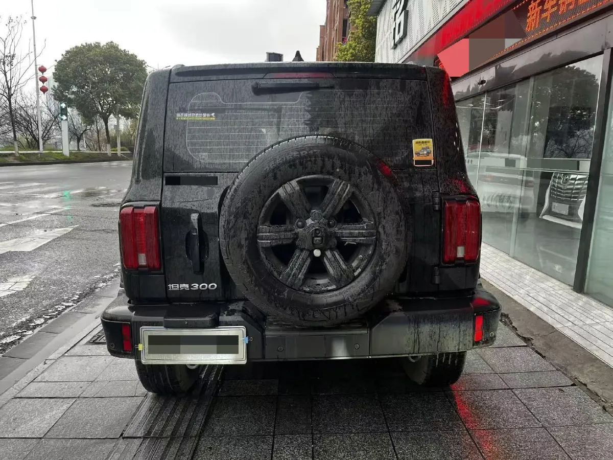 2025 Tank 300 2.0T 227HP L4 9AT,autocango,china used car exporter,china ev exporter,chinese used car exporter,chinese used ev exporter