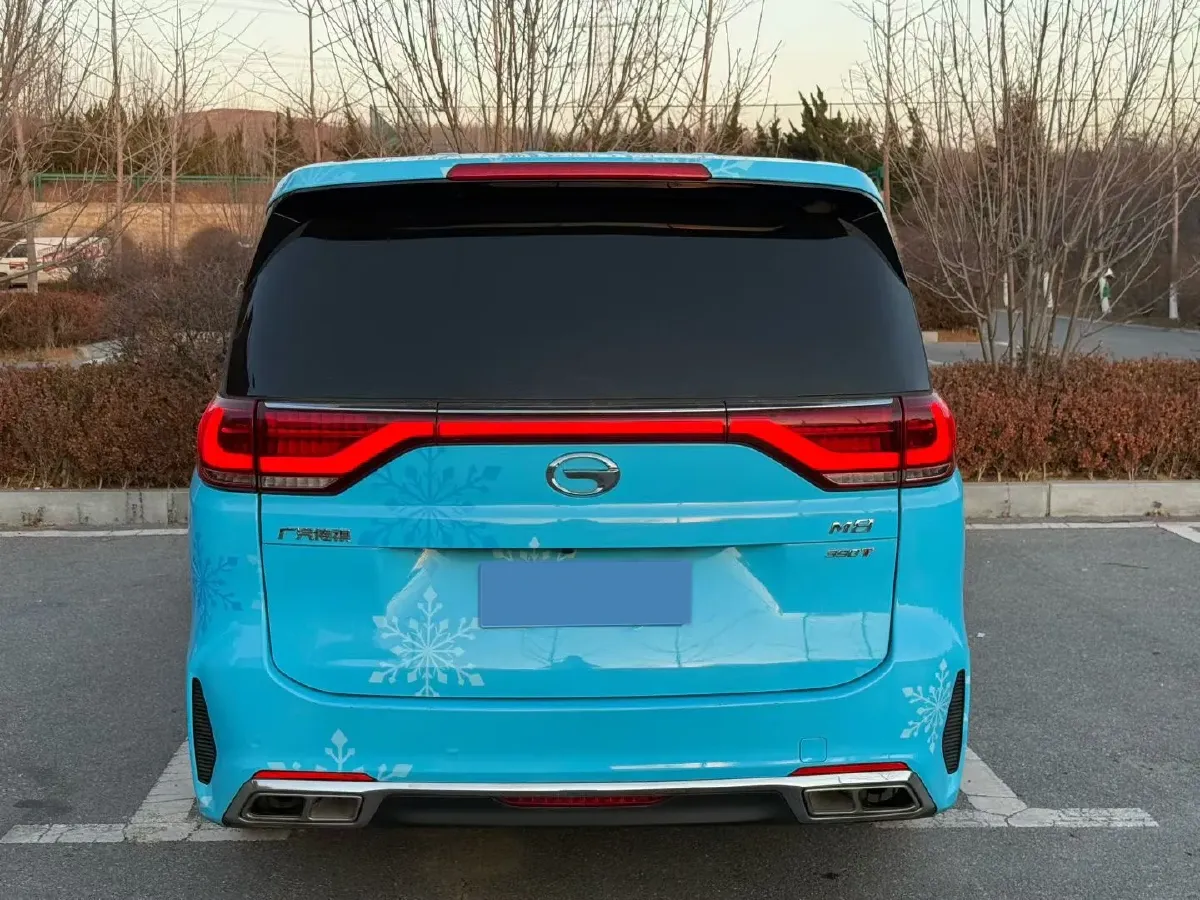 2020 GAC Trumpchi M8 2.0T 252HP L4 8AT,autocango,china used car exporter,china ev exporter,chinese used car exporter,chinese used ev exporter