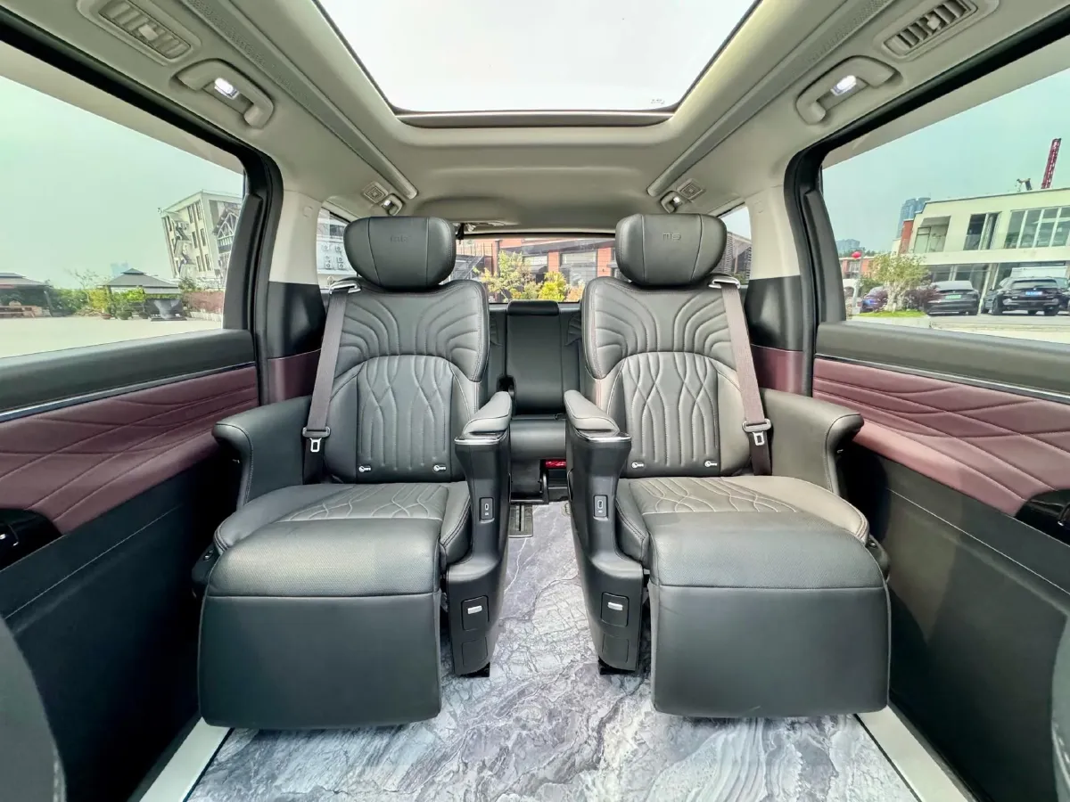 2024 GAC Trumpchi M8 2.0T 252HP L4 8AT,autocango,china used car exporter,china ev exporter,chinese used car exporter,chinese used ev exporter