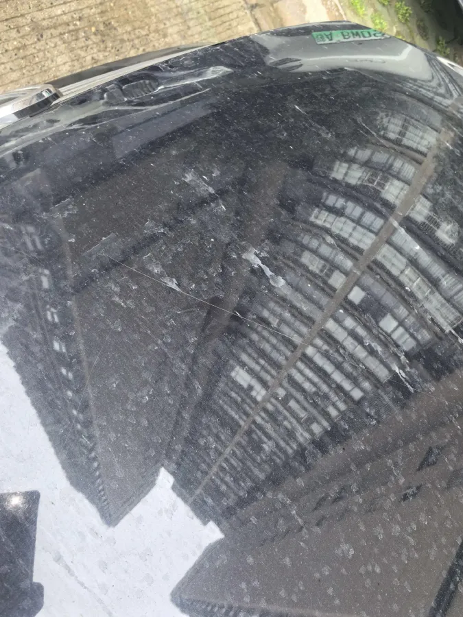 2019 Volkswagen Magotan 2.0T 186HP L4 7DCT,autocango,china used car exporter,china ev exporter,chinese used car exporter,chinese used ev exporter