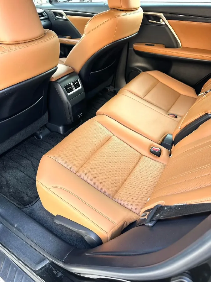 2020 Lexus RX 2.0T 231HP L4 6AT,autocango,china used car exporter,china ev exporter,chinese used car exporter,chinese used ev exporter