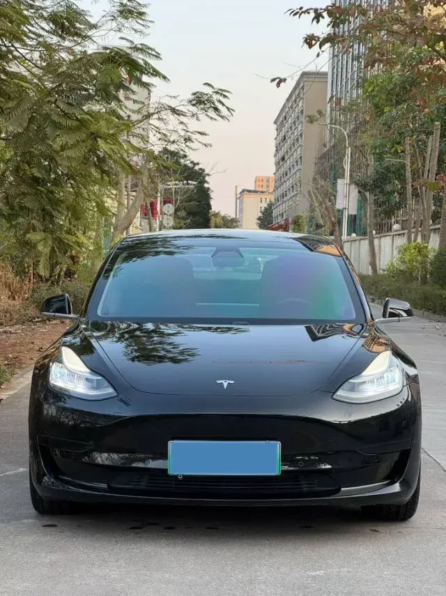 2020 Tesla Model 3 BEV 55KWH,autocango,china used car exporter,china ev exporter,chinese used car exporter,chinese used ev exporter