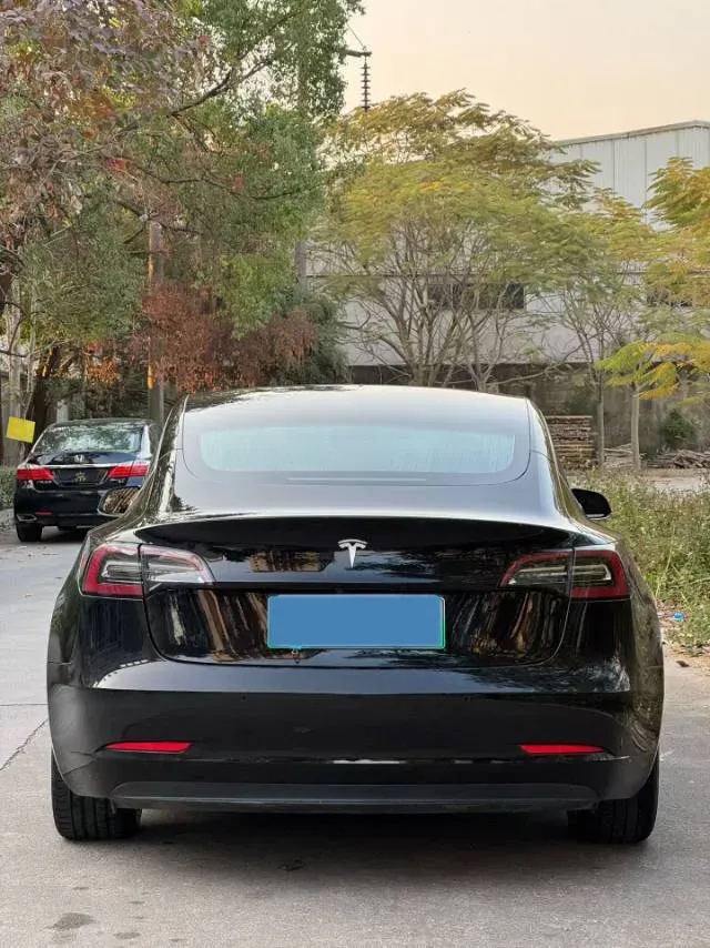 2020 Tesla Model 3 BEV 55KWH,autocango,china used car exporter,china ev exporter,chinese used car exporter,chinese used ev exporter