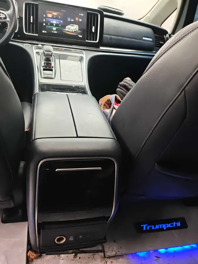 2021 GAC Trumpchi M8 2.0T 252HP L4 8AT,autocango,china used car exporter,china ev exporter,chinese used car exporter,chinese used ev exporter