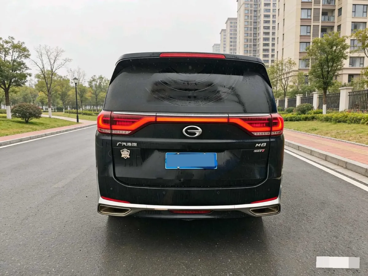 2021 GAC Trumpchi M8 2.0T 252HP L4 8AT,autocango,china used car exporter,china ev exporter,chinese used car exporter,chinese used ev exporter