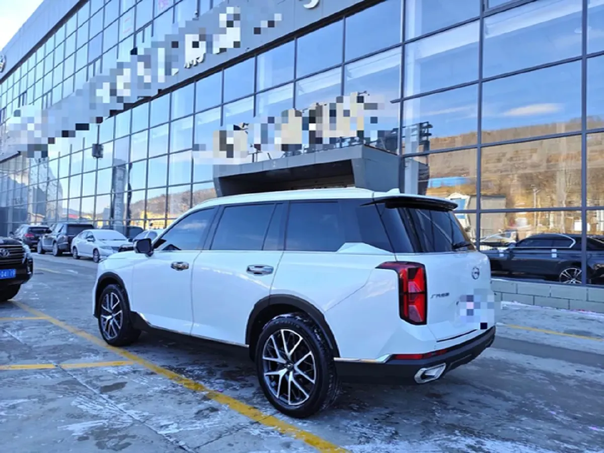 2024 GAC Trumpchi GS8 2.0T 252HP L4 8AT,autocango,china used car exporter,china ev exporter,chinese used car exporter,chinese used ev exporter