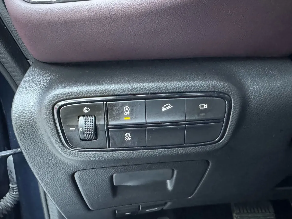 2021 GAC Trumpchi M6 1.5T 169HP L4 7DCT,autocango,china used car exporter,china ev exporter,chinese used car exporter,chinese used ev exporter