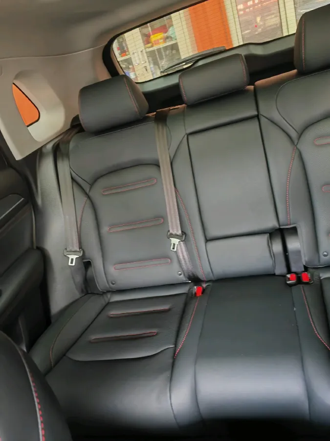 2021 GAC Trumpchi GS4 Plus 2.0T 252HP L4 6AT,autocango,china used car exporter,china ev exporter,chinese used car exporter,chinese used ev exporter