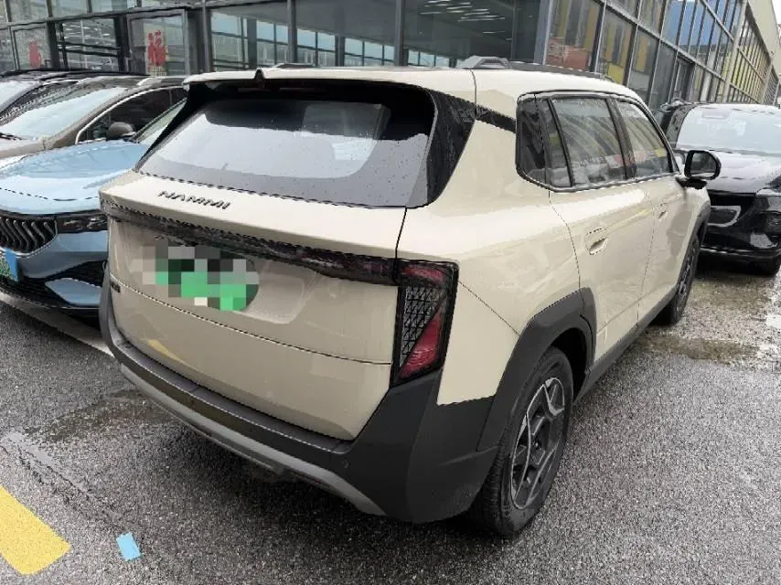 2025 DongFeng Nammi 06 BEV,autocango,china used car exporter,china ev exporter,chinese used car exporter,chinese used ev exporter