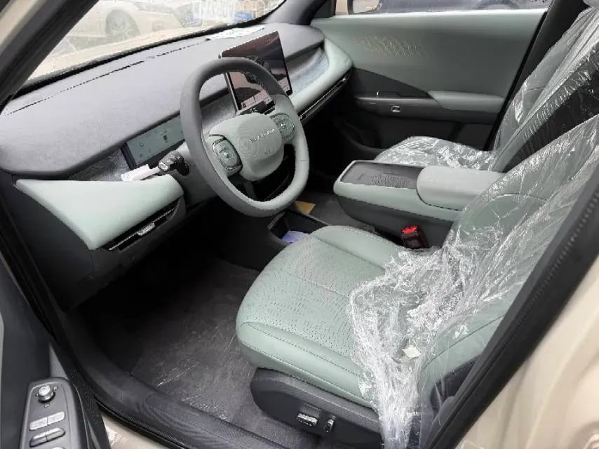 2025 DongFeng Nammi 06 BEV,autocango,china used car exporter,china ev exporter,chinese used car exporter,chinese used ev exporter