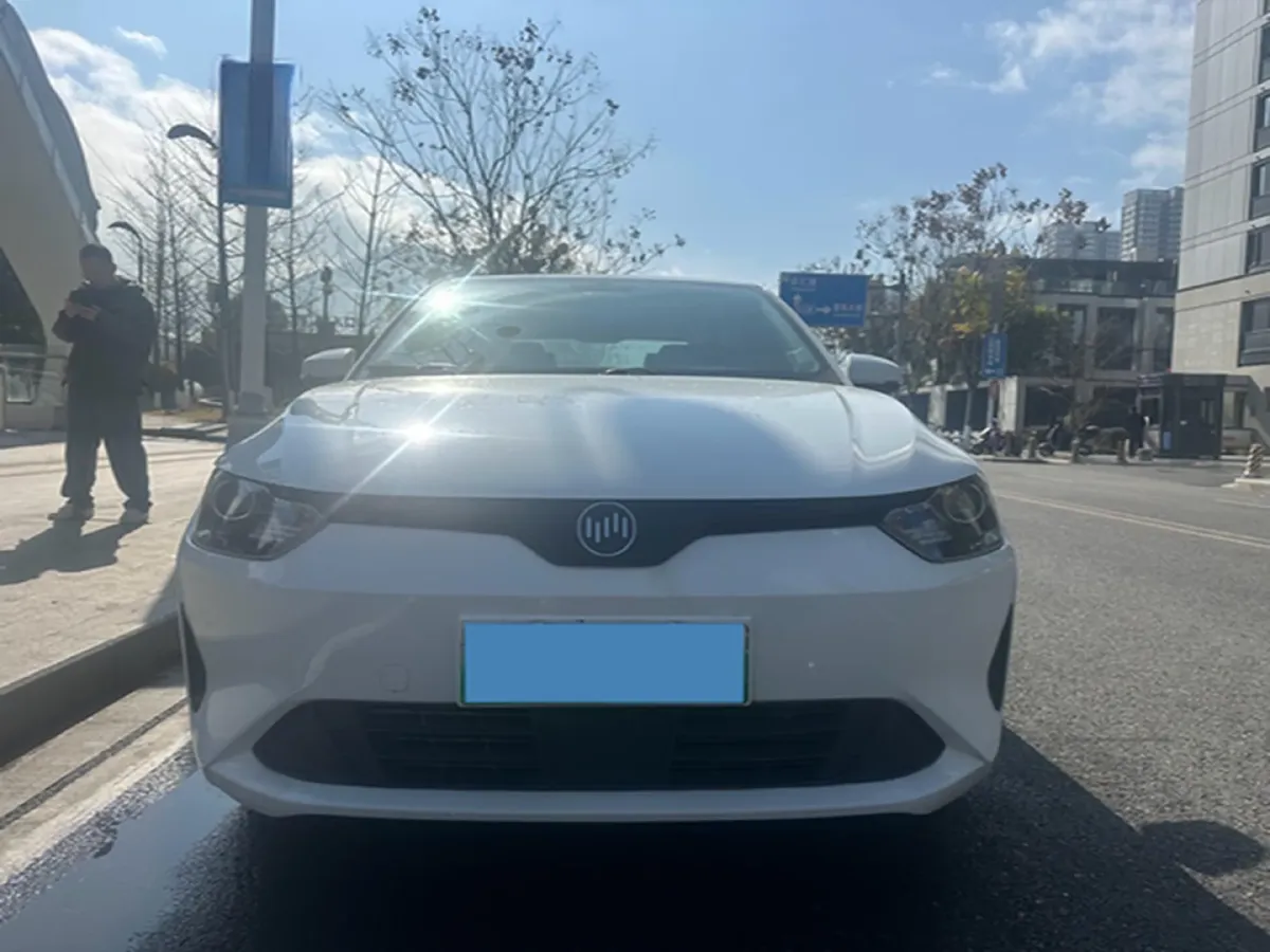 2022 Weltmeister EX5 BEV 52.704KWH,autocango,china used car exporter,china ev exporter,chinese used car exporter,chinese used ev exporter