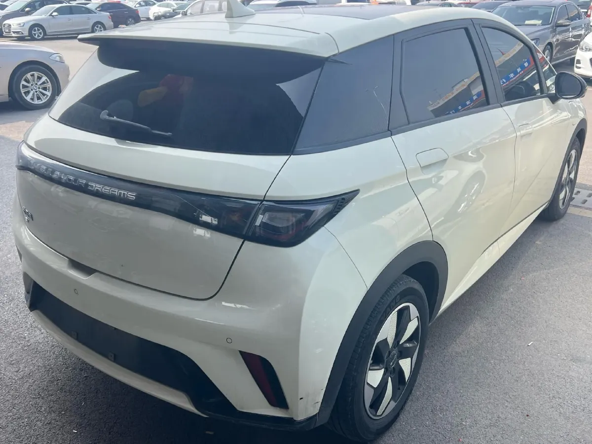 2024 BYD Dolphin BEV 44.928KWH,autocango,china used car exporter,china ev exporter,chinese used car exporter,chinese used ev exporter