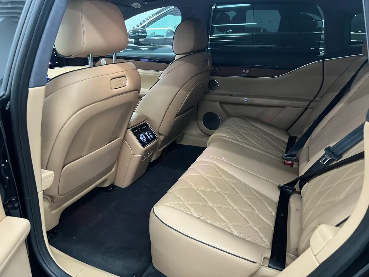 2025 HIMA Stelato S9T REEV 160HP REEV,autocango,china used car exporter,china ev exporter,chinese used car exporter,chinese used ev exporter