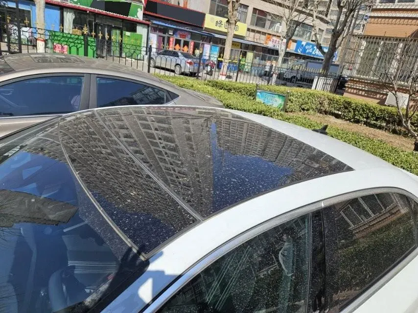 2023 Audi A3 1.4T 150HP L4 7DCT,autocango,china used car exporter,china ev exporter,chinese used car exporter,chinese used ev exporter