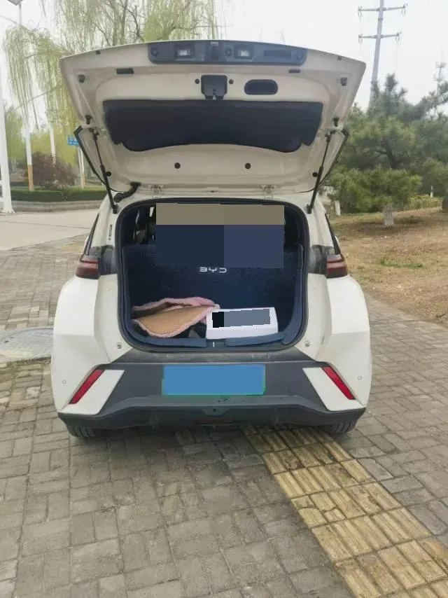 2024 BYD Seagull BEV 38.88KWH,autocango,china used car exporter,china ev exporter,chinese used car exporter,chinese used ev exporter