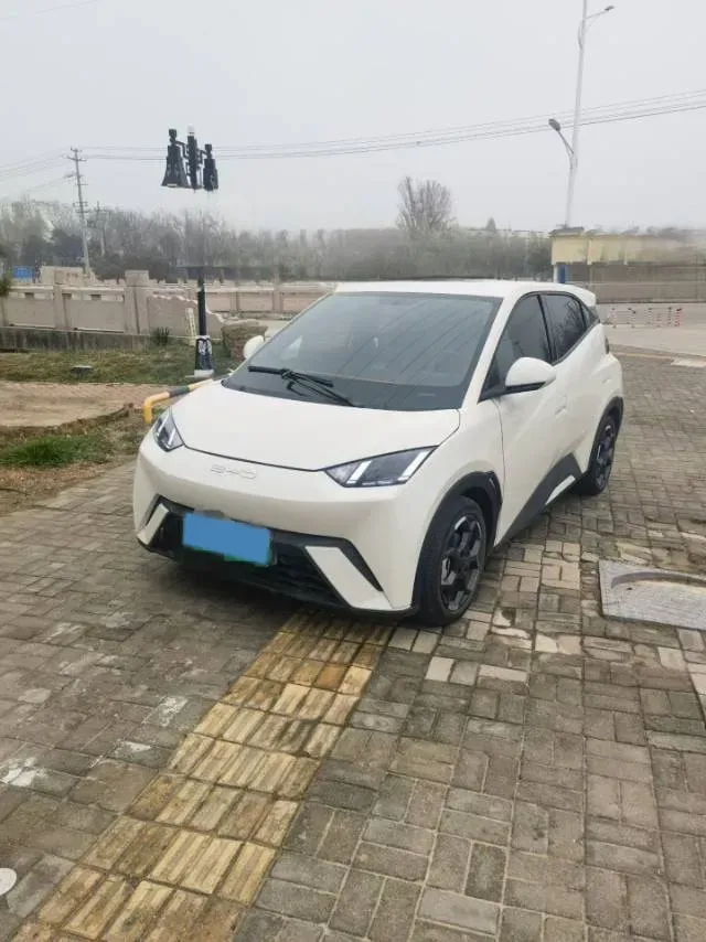 2024 BYD Seagull BEV 38.88KWH,autocango,china used car exporter,china ev exporter,chinese used car exporter,chinese used ev exporter