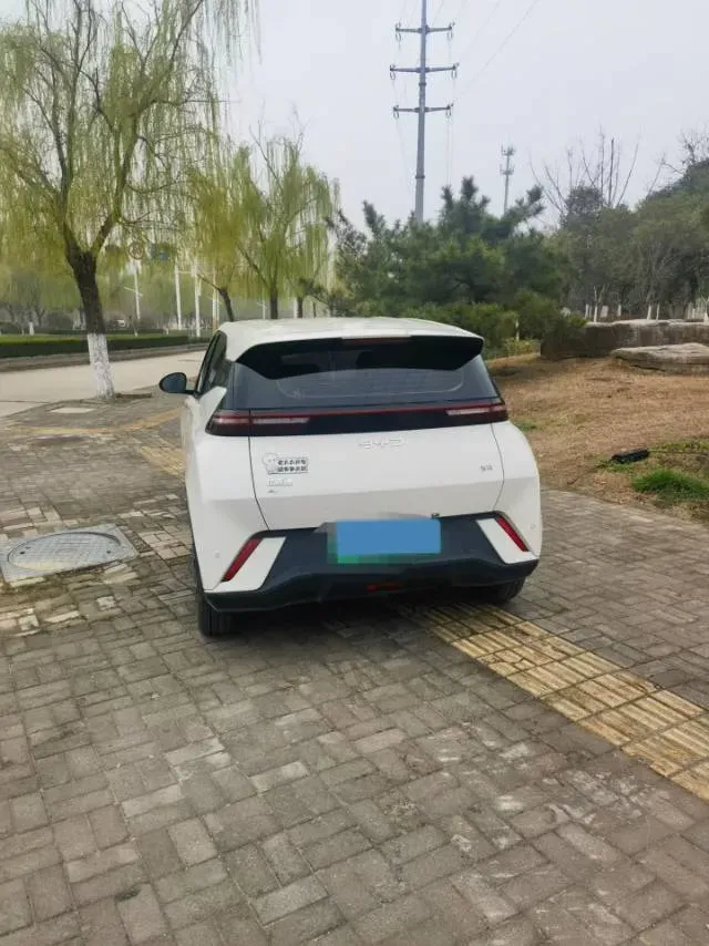 2024 BYD Seagull BEV 38.88KWH,autocango,china used car exporter,china ev exporter,chinese used car exporter,chinese used ev exporter