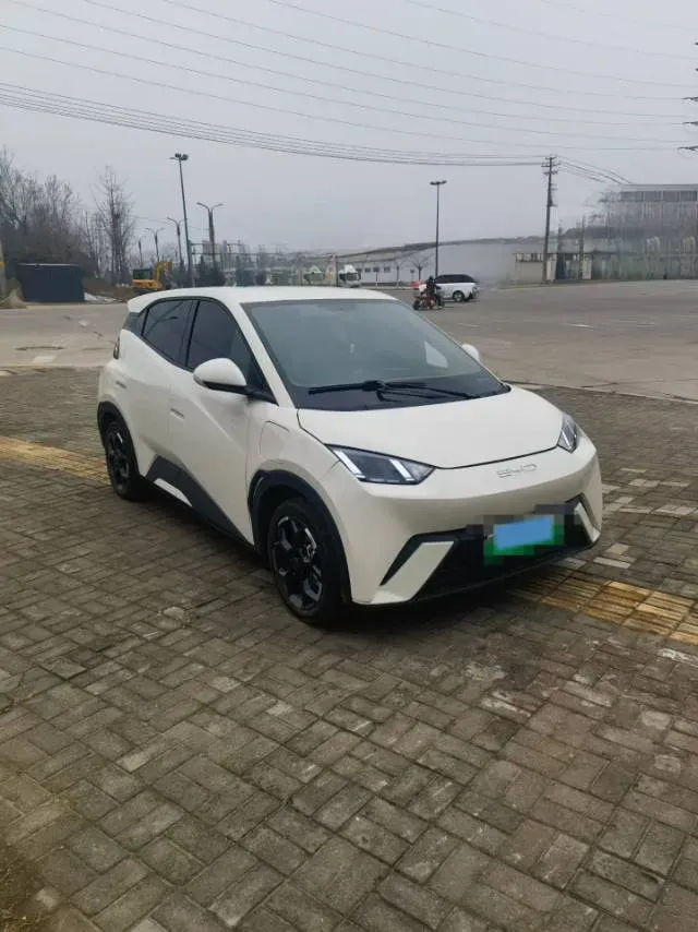 2024 BYD Seagull BEV 38.88KWH,autocango,china used car exporter,china ev exporter,chinese used car exporter,chinese used ev exporter