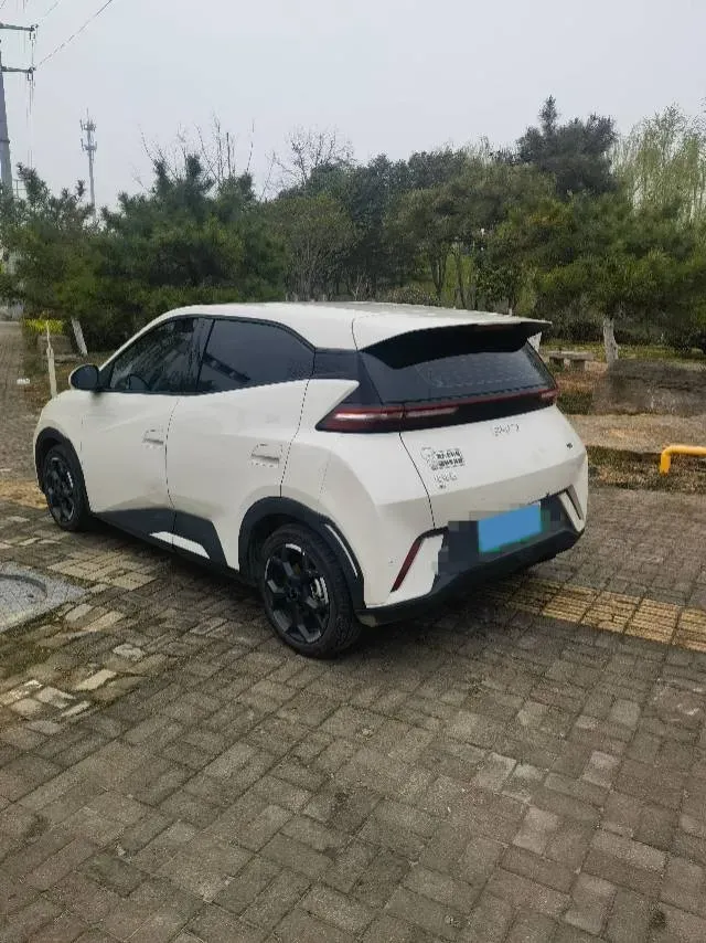 2024 BYD Seagull BEV 38.88KWH,autocango,china used car exporter,china ev exporter,chinese used car exporter,chinese used ev exporter