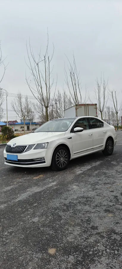 2019 Skoda Octavia 1.2T 116HP L4 7DCT,autocango,china used car exporter,china ev exporter,chinese used car exporter,chinese used ev exporter