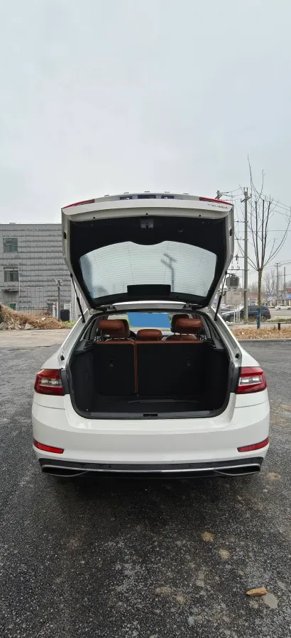 2019 Skoda Octavia 1.2T 116HP L4 7DCT,autocango,china used car exporter,china ev exporter,chinese used car exporter,chinese used ev exporter