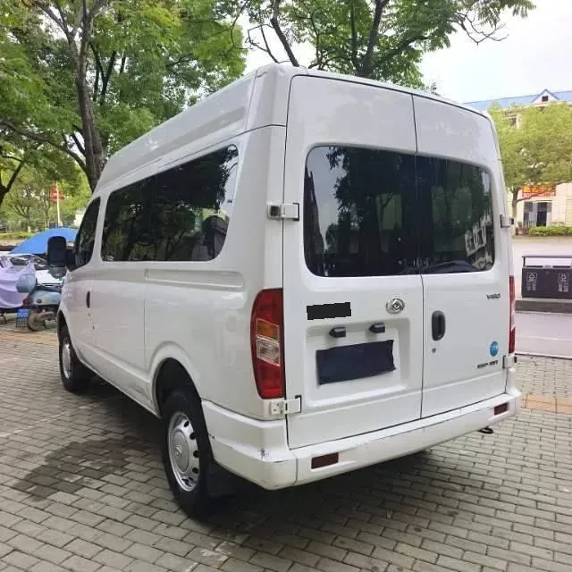 2021 DaYun Pickup 2.0T 163HP L4 6MT,autocango,china used car exporter,china ev exporter,chinese used car exporter,chinese used ev exporter
