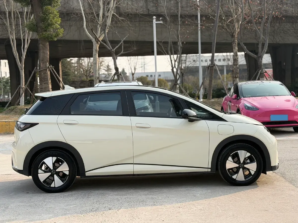 2023 BYD Dolphin BEV 44.928KWH,autocango,china used car exporter,china ev exporter,chinese used car exporter,chinese used ev exporter