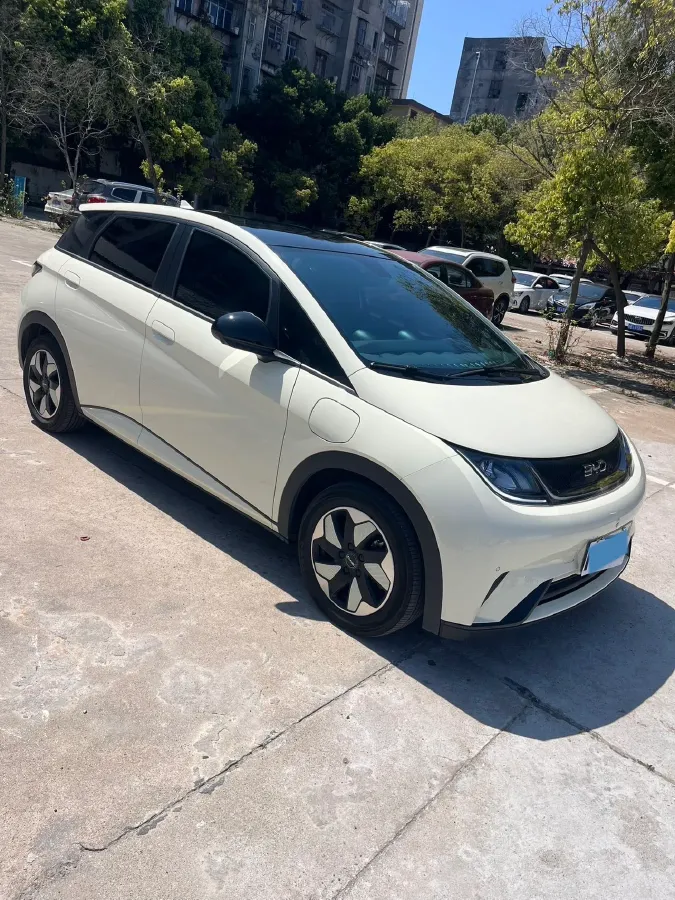 2024 BYD Dolphin BEV 44.928KWH,autocango,china used car exporter,china ev exporter,chinese used car exporter,chinese used ev exporter
