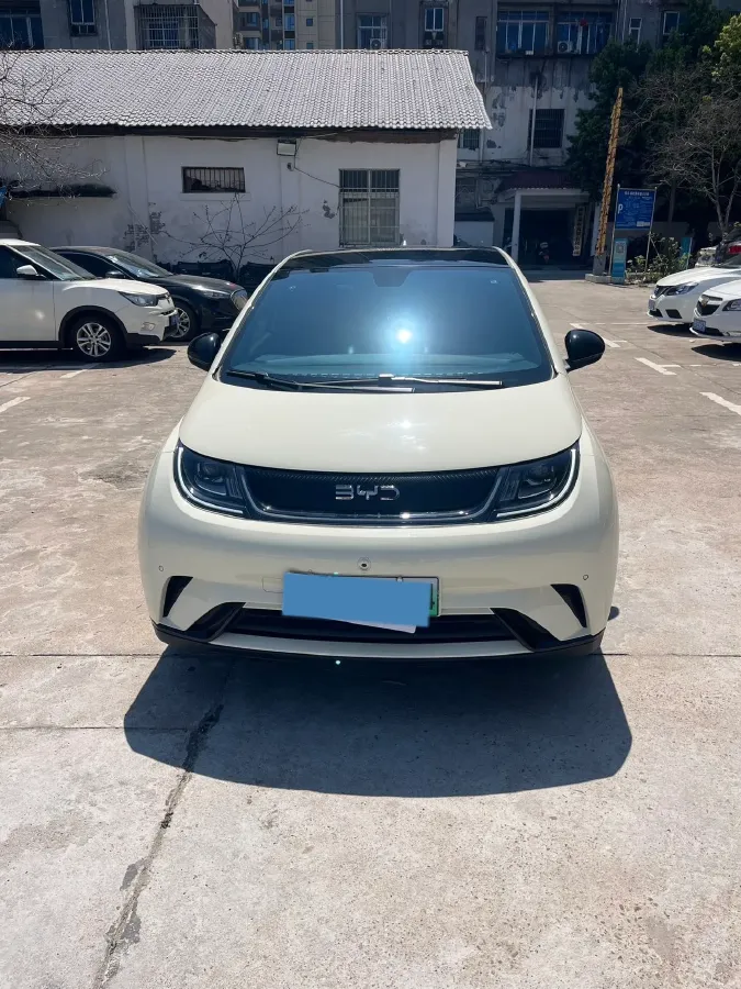 2024 BYD Dolphin BEV 44.928KWH,autocango,china used car exporter,china ev exporter,chinese used car exporter,chinese used ev exporter