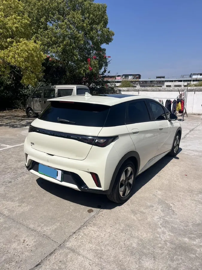 2024 BYD Dolphin BEV 44.928KWH,autocango,china used car exporter,china ev exporter,chinese used car exporter,chinese used ev exporter