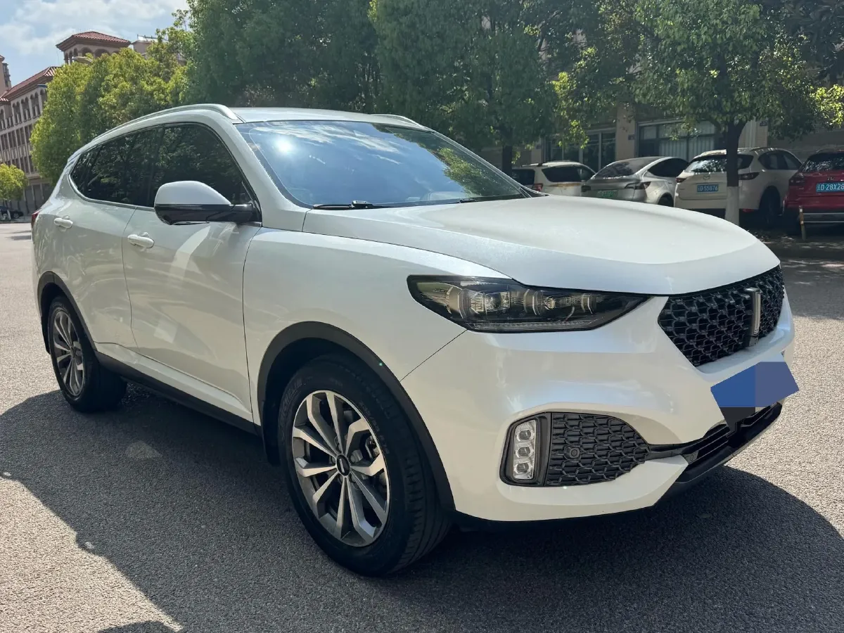 2020 WEY VV6 2.0T 227HP L4 7DCT,autocango,china used car exporter,china ev exporter,chinese used car exporter,chinese used ev exporter