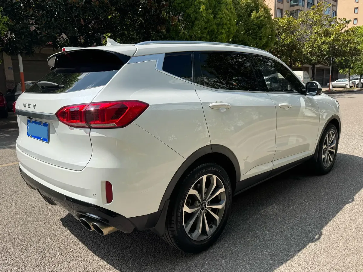 2020 WEY VV6 2.0T 227HP L4 7DCT,autocango,china used car exporter,china ev exporter,chinese used car exporter,chinese used ev exporter