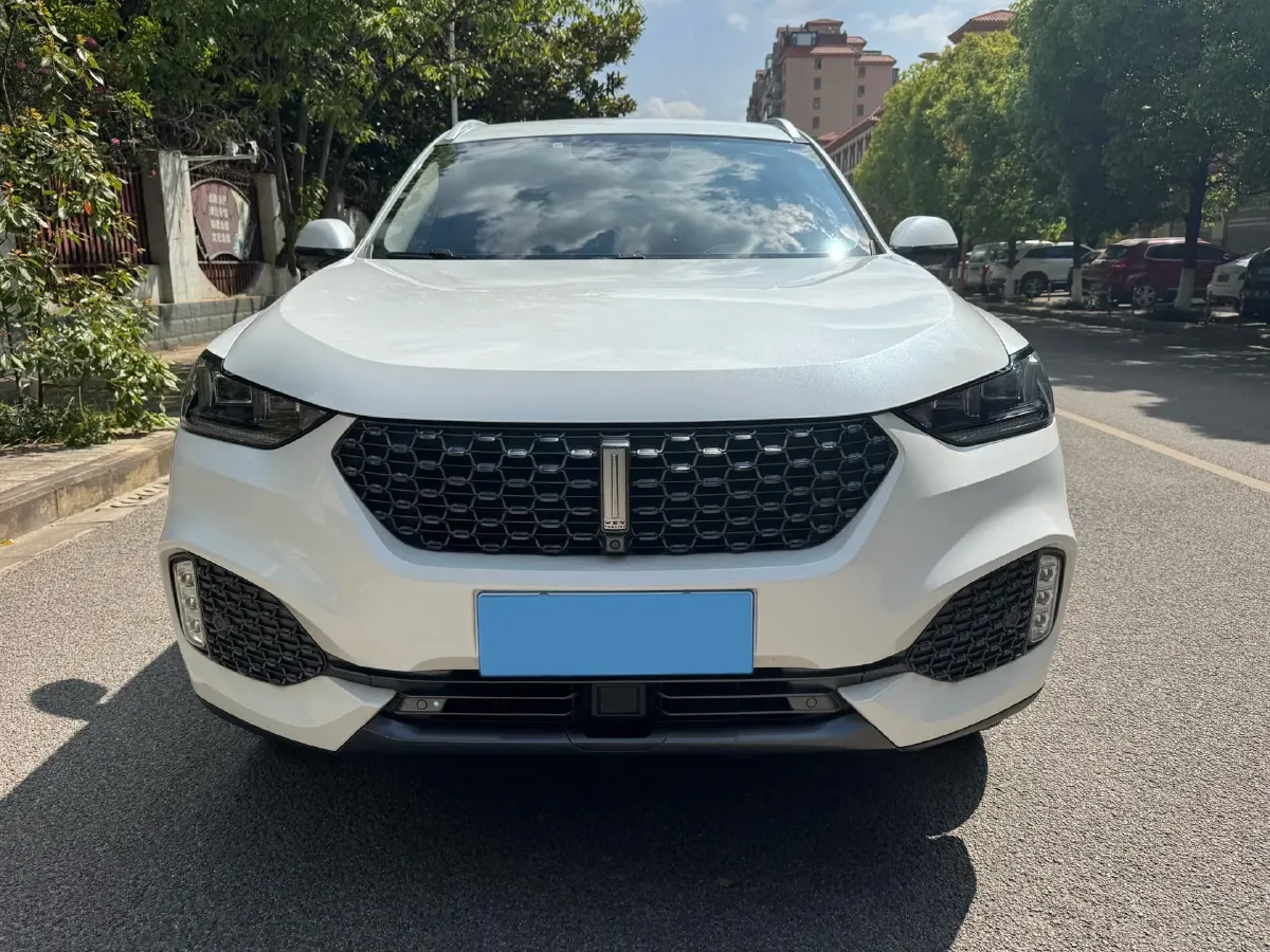2020 WEY VV6 2.0T 227HP L4 7DCT,autocango,china used car exporter,china ev exporter,chinese used car exporter,chinese used ev exporter